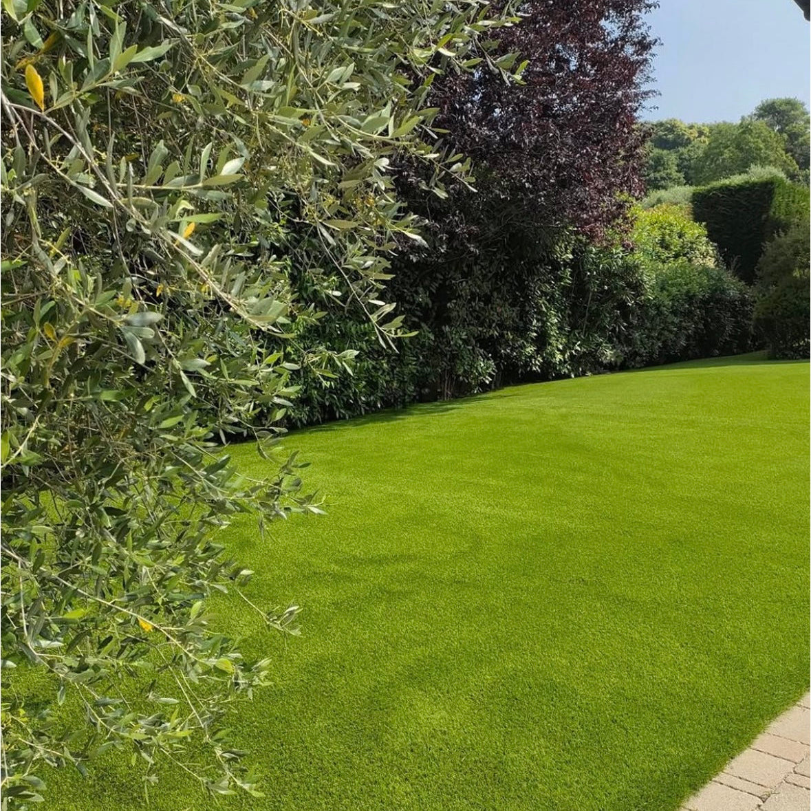 Smart Garden SUPER MD 50